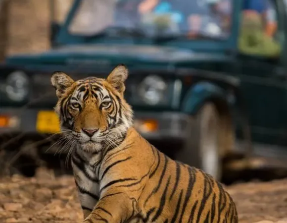 Delhi to Mussoorie, Rishikesh, Jim Corbet, Nainital (9 Night/10 Days)