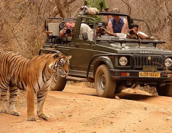 Rajasthan & Safari Tour by AC Car 🚘 10D/9N