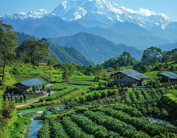 Mesmerizing Sikkim & Darjeeling  4 Nights 5 Days