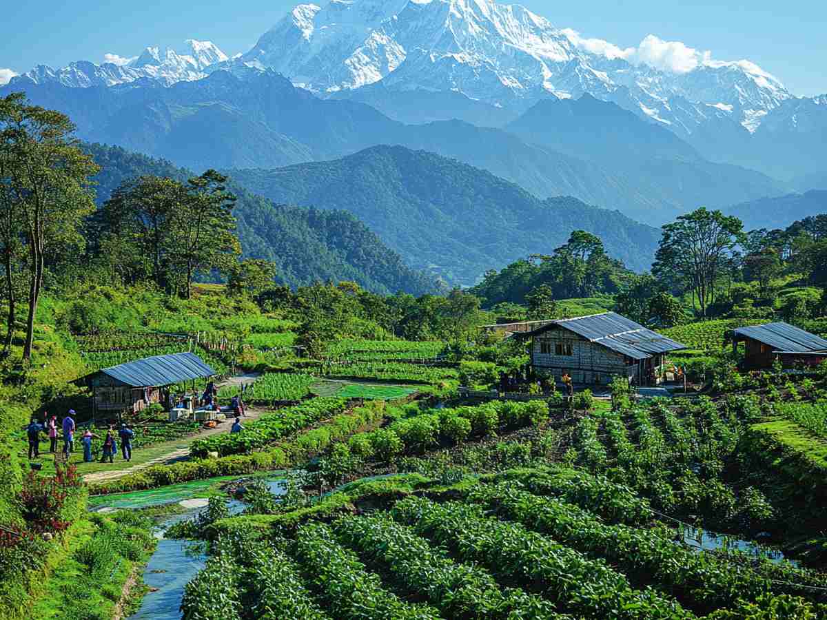 Mesmerizing Sikkim & Darjeeling  4 Nights 5 Days